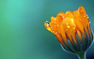 Onderrug, stabiliteit, lichtheid en ruimte - Nicole Bannenberg