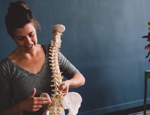 Inleiding in Critical Alignmentyoga voor yogadocenten- Selle Postma (driedaagse zomercursus)